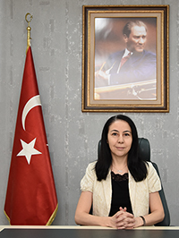 Meral Batı Demirbaş